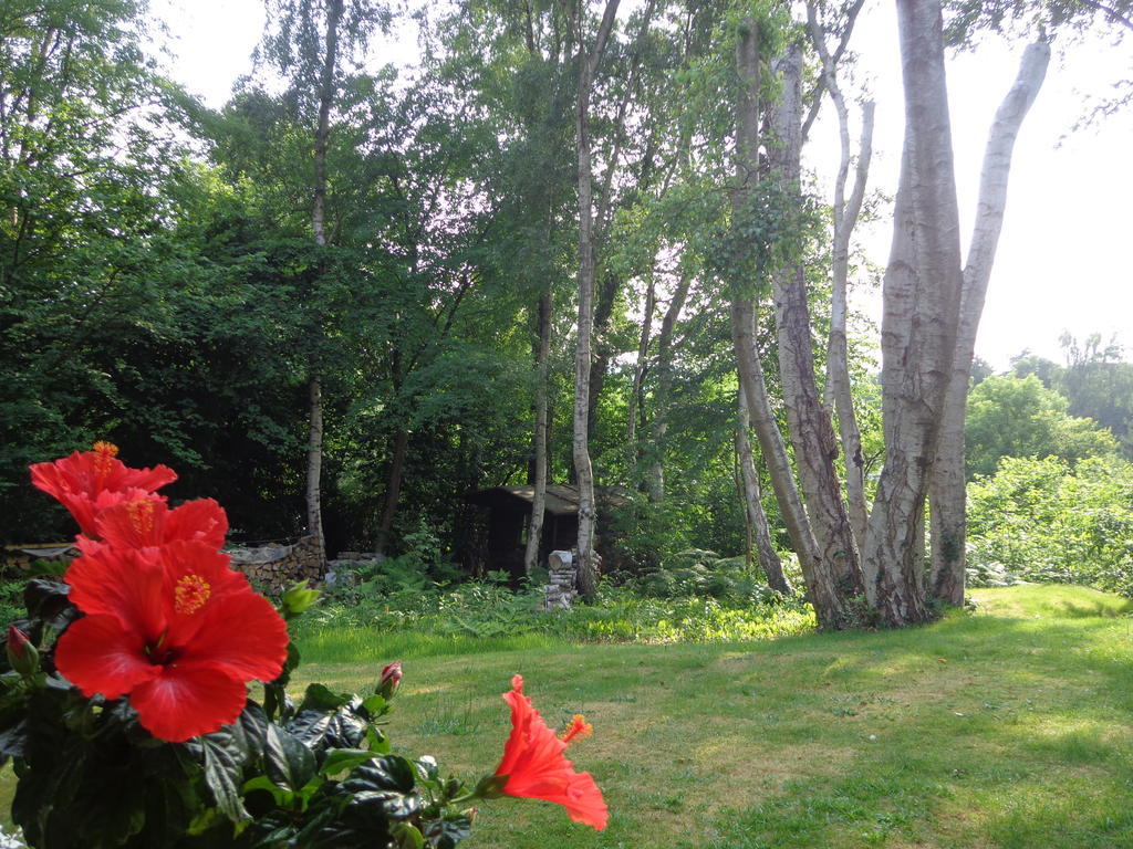Green Hill Guest House And Apartment Overijse Eksteriør billede